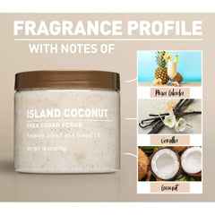 (3 pack) Shea Sugar Scrub, Island Coconut Scent, 18 oz