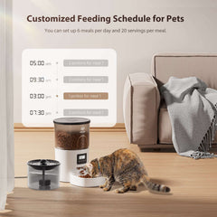 Automatic Cat Feeder and Water Fountain, Timed Pet Dry Food Dispenser, Programmable Portion Control, 1-6 Meals Per Day, Cat Fountains for Drinking with Filter, Small Pets (3L Combo)