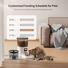 Automatic Cat Feeder and Water Fountain, Timed Pet Dry Food Dispenser, Programmable Portion Control, 1-6 Meals Per Day, Cat Fountains for Drinking with Filter, Small Pets (3L Combo) - USA MEGA SHOP
