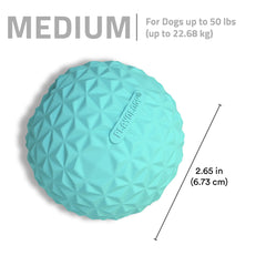 Play by Playology Dog Toys Interactive Dog Balls Crunchy Ball Toy 2-Pack - USA MEGA SHOP