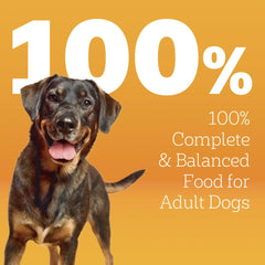 Pedigree High Protein Adult Dry Dog Food, Beef and Lamb Flavor - USA MEGA SHOP