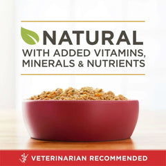 Purina ONE Smart Blend Wet Dog Food, High Protein Soft Chicken & Brown Rice, 13 oz Can