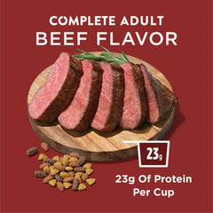 Purina Dog Chow Complete Adult Dry Dog Food, High Protein Real Beef