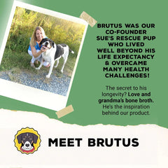 Brutus Broth Skin and Coat Meal Topper for Dogs Mega Pack (Salmon) - Pet Food Topper - Vegetable Broth Powder with Omegas 3, 6 & 9 for Skin and Coat Health - Makes Up to 130 fl oz