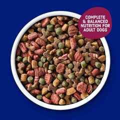 Kibbles 'n Bits Dry Dog Food for Adult Dogs, Savory Bacon & Steak Flavor, 16 lb. Bag