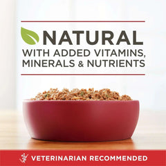Purina ONE Natural Wet Dog Food, High Protein Soft Beef & Brown Rice Barley, 13 oz Can