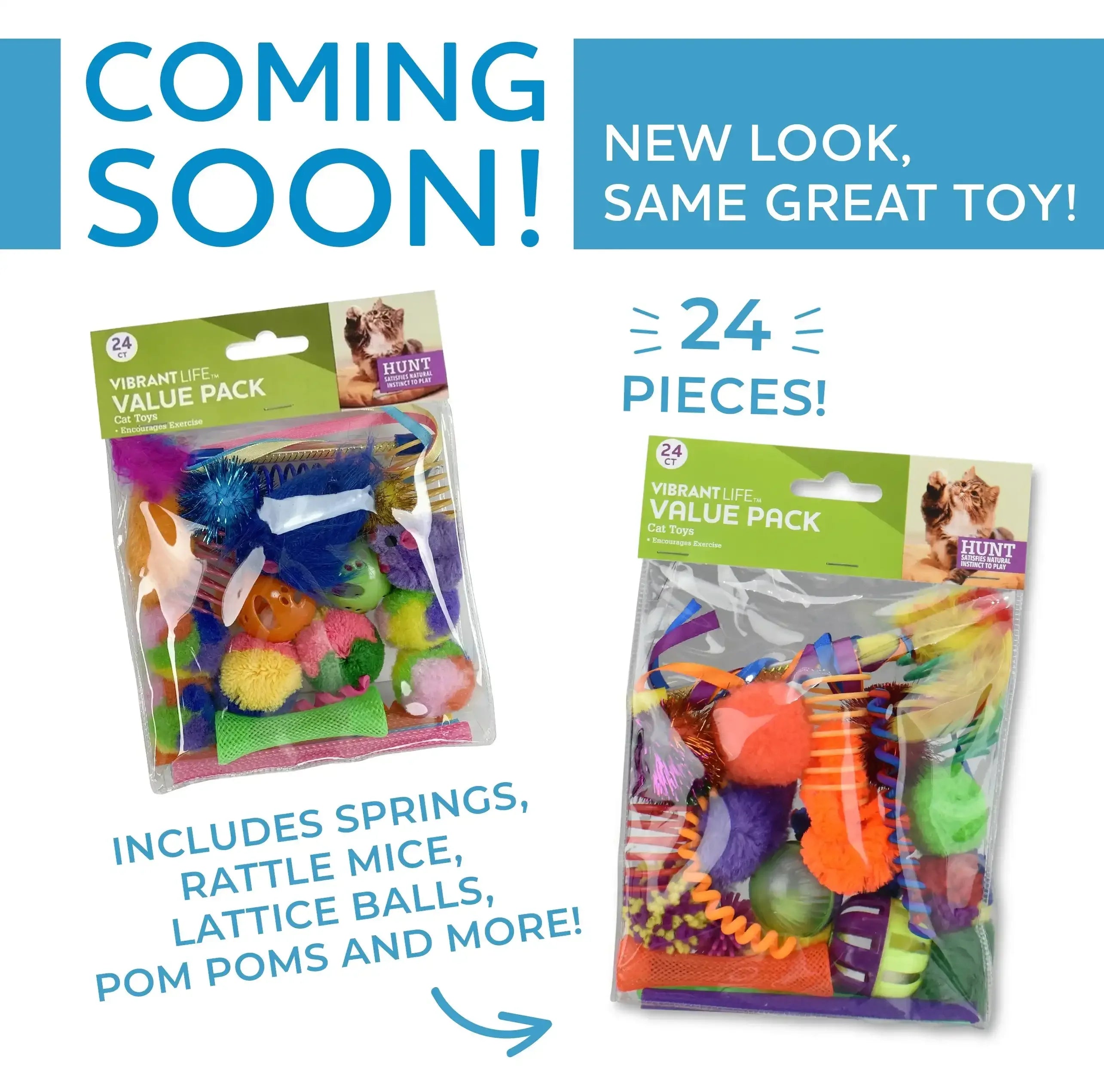 Vibrant Life 24 Piece Value Pack Cat Toys - USA MEGA SHOP