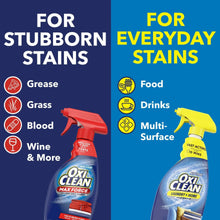Stain remover chart showing stubborn stains and everyday stains categories