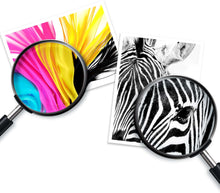 Ink color print samples with magnifying glass over zebra and butterfly images