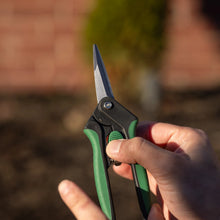 Hand holding green-and-black garden snipping shears with pointed steel blades