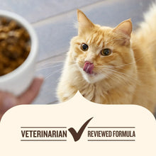 Cat beside a food bowl with veterinarian reviewed formula badge