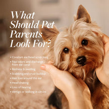 Dog portrait with ear care checklist text overlay