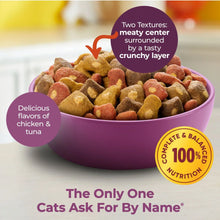 Cat food bowl with crunchy kibble and meaty center, chicken and tuna