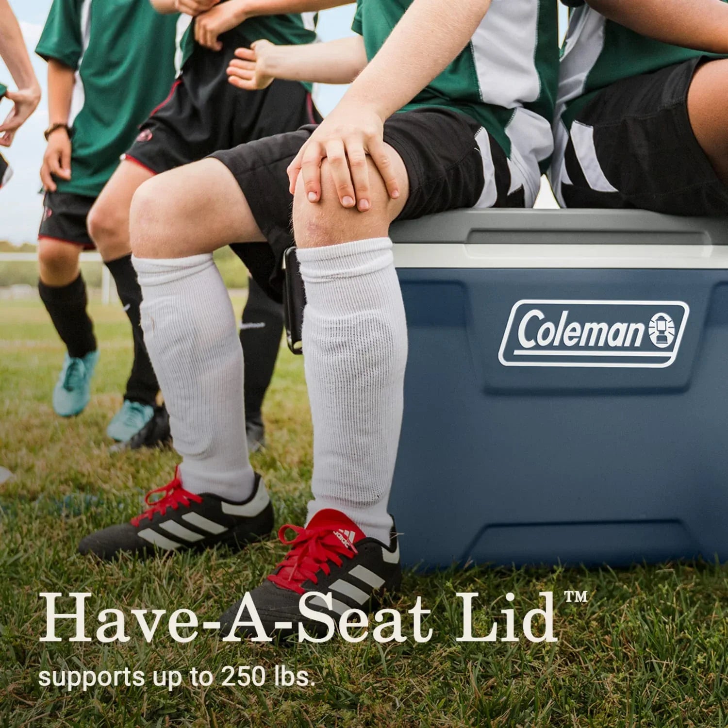 Coleman 52 qt Hard Sized Cooler / Ice Chest, 316 Series, Lakeside Blue - USA MEGA SHOP