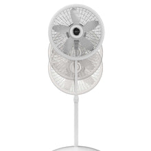 White dual-head pedestal oscillating fan with wire grille and stand