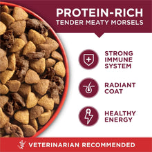 Dry dog food kibble in bowl with protein-rich, immune system, and radiant coat icons