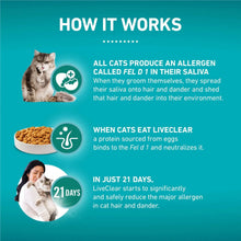 Dry cat food how-it-works panel with cat and kibble icons