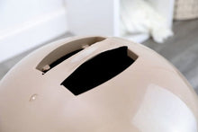 Enclosed plastic cat litter box dome with front entry opening and steps