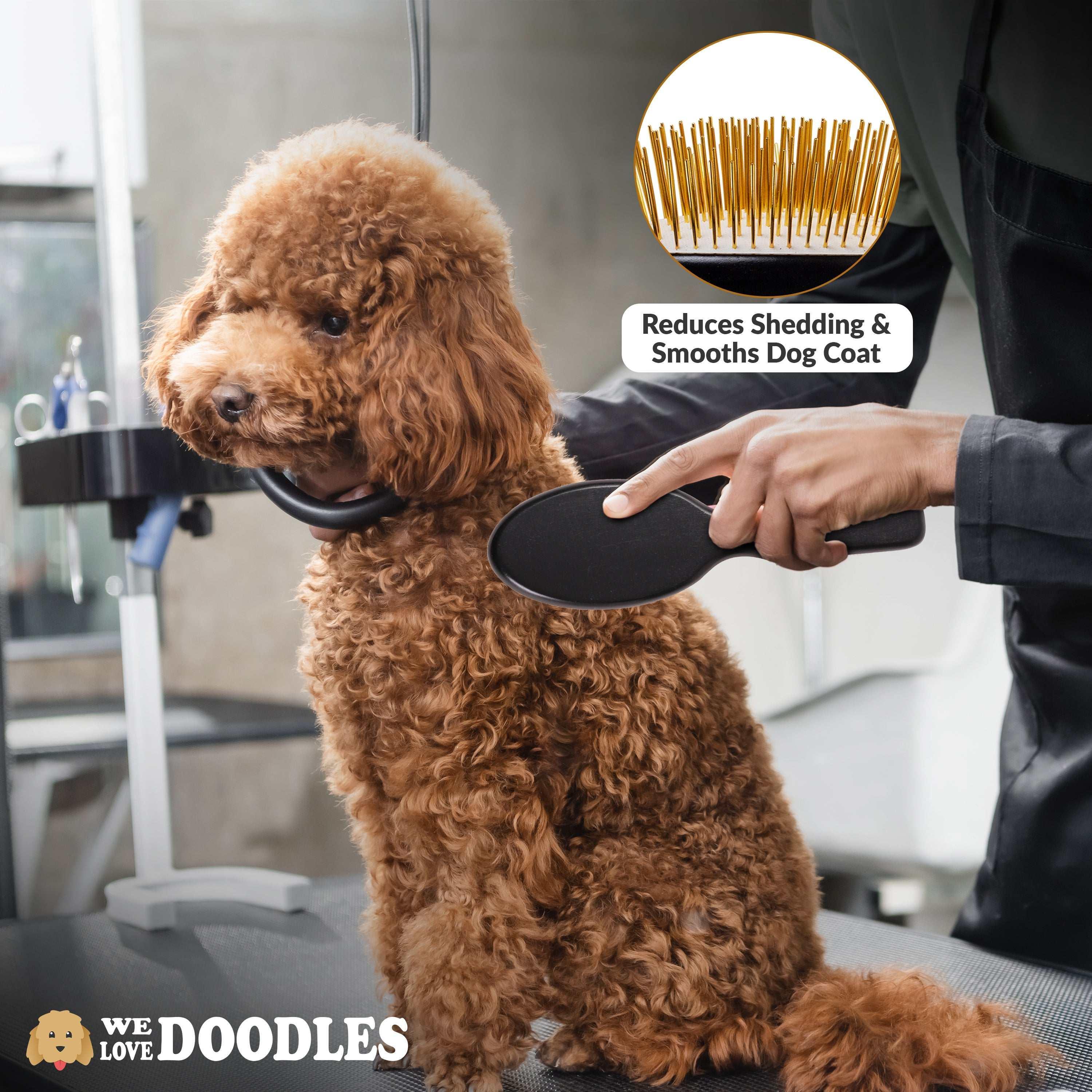 We Love Doodles Pin Brush For Dogs, Pet Grooming Detangler Pin Dog Brush, Dog Brush For Shedding & Loose Fur, Gold Pins Long Haired Pets - USA MEGA SHOP