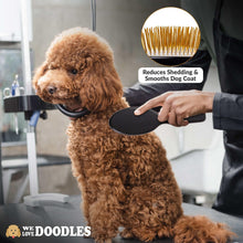 Black grooming pin brush with gold pins for smoothing a curly-coated dog