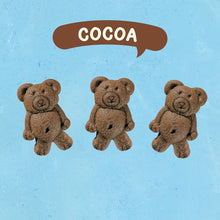 Chocolate cocoa graham snack cookies shaped like teddy bears