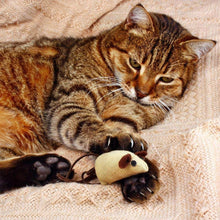 Tabby cat cuddling a plush mouse toy on a blanket