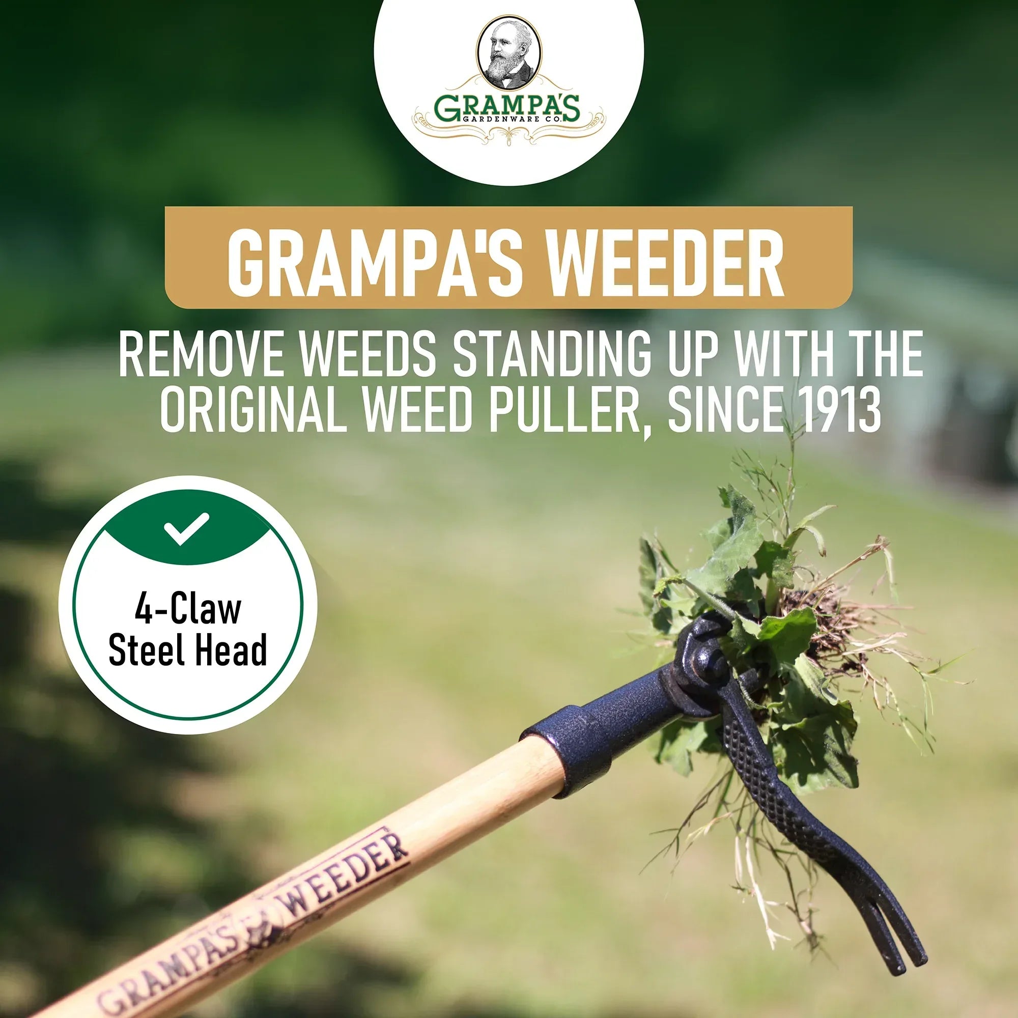 Grampa's Weeder - The Original Stand Up Weed Puller Tool With Long Handle - Made With 4-Claw Steel Head Design - Easily Remove Weeds Without Bending, Pulling, or Kneeling