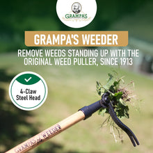 Weed puller tool with dark 4-claw steel head and wrapped wooden handle