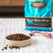 Dog kibble in white bowl with blue dog food bag in background