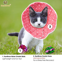 Indoor cat crinkle balls toy with multicolor foil balls near a kitten in a pink cone