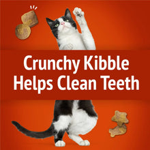 Purina Friskies crunchy kibble graphic with cat and clean teeth claim