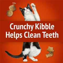 Purina Friskies Party Mix Gravy-licious, Cat Treats, Chicken & Gravy, 6 oz Bag - USA MEGA SHOP