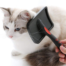 Black slicker grooming brush touching cat fur with red handle