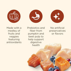 Nutrish Everyday Immune Support Chicken, Salmon, Blueberry & Pumpkin Recipe Dry Dog Food, 13lb Bag - USA MEGA SHOP