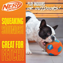 Orange and blue textured Nerf Dog squeak soccer ball with logo patch.