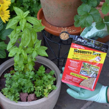 Gloved hand holding Mosquito Bits granules package near potted plants