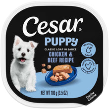 Cesar puppy classic loaf in sauce wet dog food tray with dog and recipe label