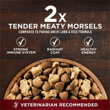 Dry dog food kibble in a bowl with text about tender meaty morsels and veterinarian recommended.