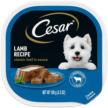 Cesar lamb recipe classic loaf in sauce wet dog food tub with white dog on label
