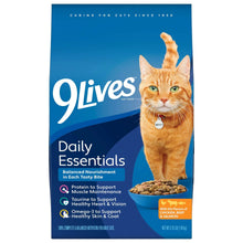 Dry cat food bag with orange tabby cat and kibble on blue background