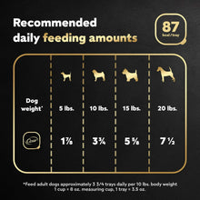 Recommended daily feeding amounts chart by dog weight and feeding percentage.