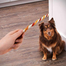 Chicken-flavored twist dog treat held near small dog face
