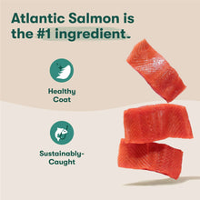 Atlantic salmon recipe dog food graphic with salmon fillet pieces