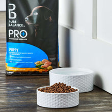 Pure Balance PR+ puppy chicken and rice dry dog food bag beside a bowl of kibble