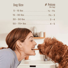 Dog treat feeding scene with human and brown curly-haired dog; human-grade chicken strips.