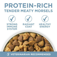 Dry dog food kibble close-up in bowl with protein-rich tender morsels label