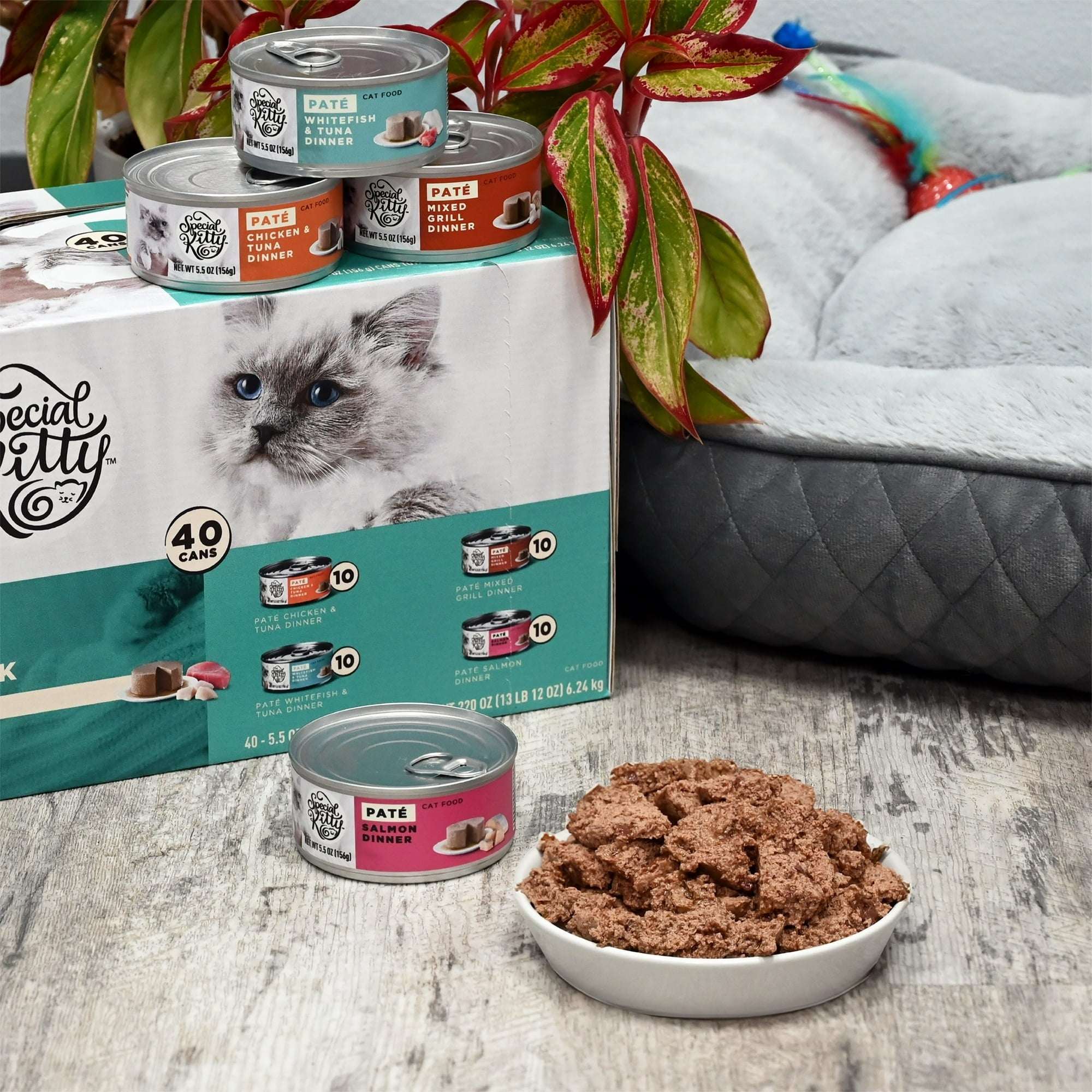 Special Kitty Surf & Turf Pate Wet Cat Food Variety Pack, 5.5 oz Cans (40 Pack)