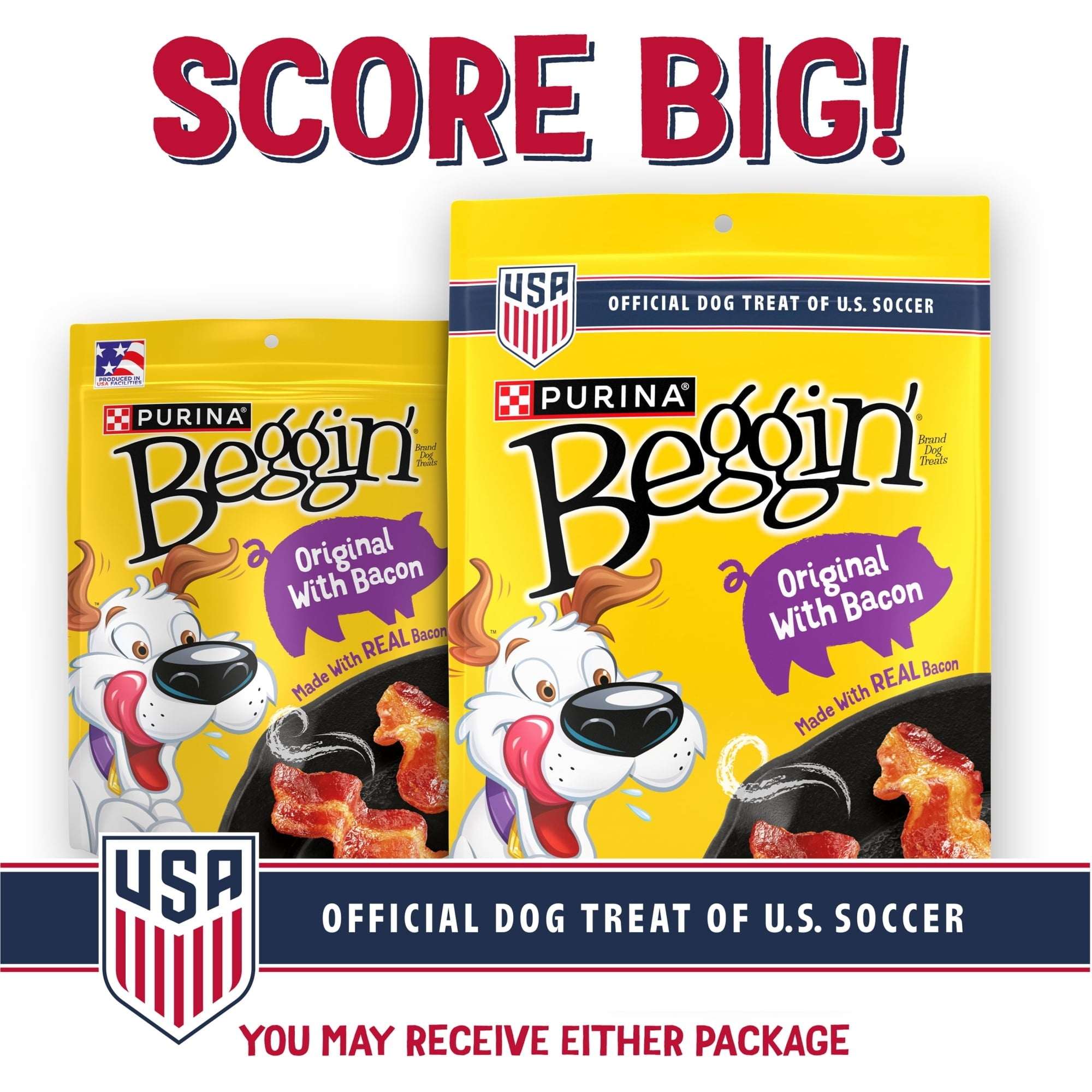 Purina Beggin Strips Dog Treats, Dog Training Treats, Original With Bacon - 25 oz. Pouch