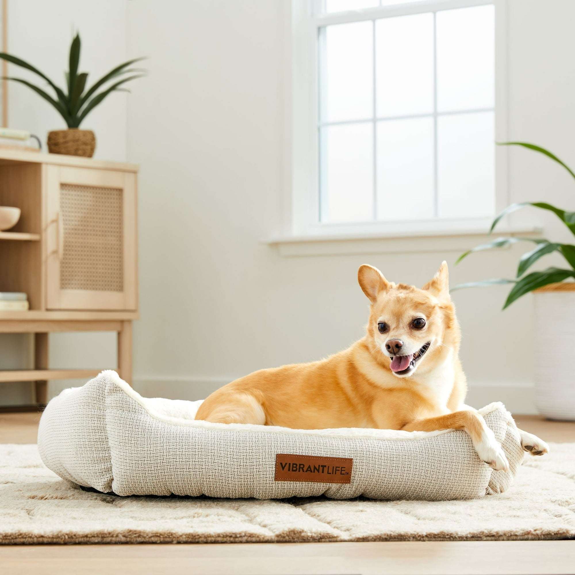 Vibrant Life Medium Luxe Cuddler Dog Bed, Cream, 27" x 21"