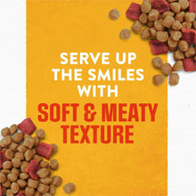 Purina Moist & Meaty Rise & Shine pouch panel with soft & meaty texture text